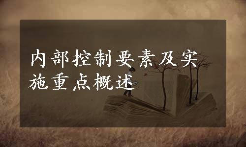 内部控制要素及实施重点概述