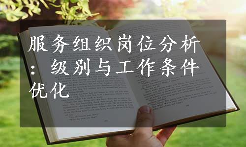 服务组织岗位分析：级别与工作条件优化