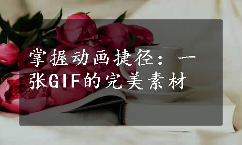 掌握动画捷径：一张GIF的完美素材