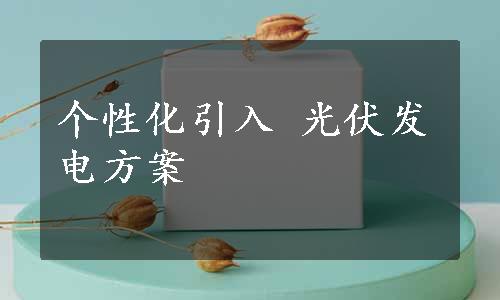 个性化引入 光伏发电方案