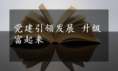 党建引领发展 升级富起来