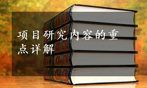 项目研究内容的重点详解