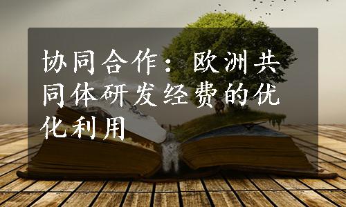 协同合作：欧洲共同体研发经费的优化利用