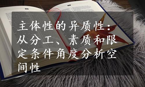 主体性的异质性：从分工、素质和限定条件角度分析空间性