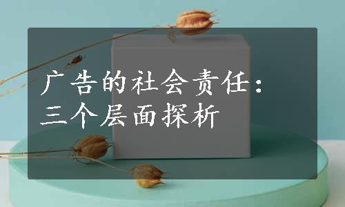 广告的社会责任：三个层面探析