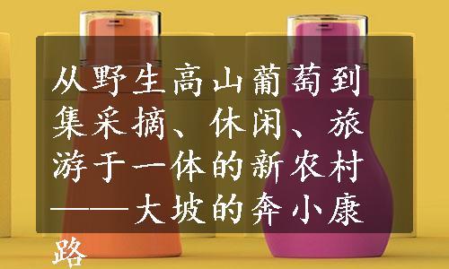 从野生高山葡萄到集采摘、休闲、旅游于一体的新农村——大坡的奔小康路