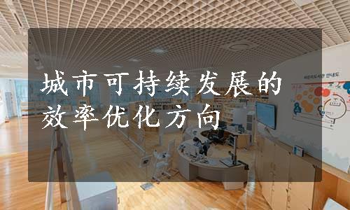 城市可持续发展的效率优化方向