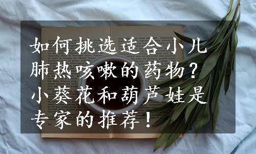 如何挑选适合小儿肺热咳嗽的药物？小葵花和葫芦娃是专家的推荐！