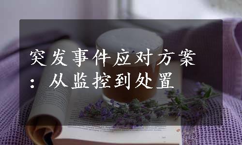 突发事件应对方案：从监控到处置