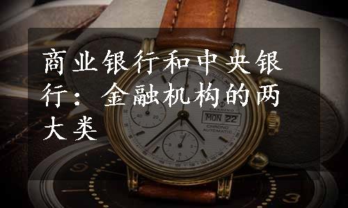 商业银行和中央银行：金融机构的两大类