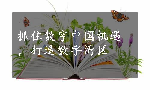 抓住数字中国机遇，打造数字湾区