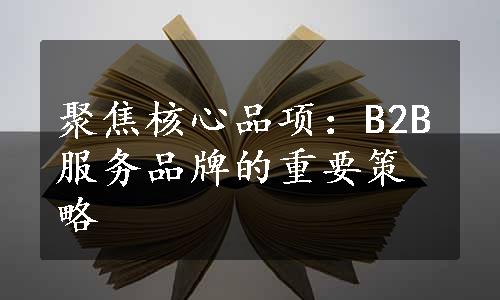 聚焦核心品项：B2B服务品牌的重要策略