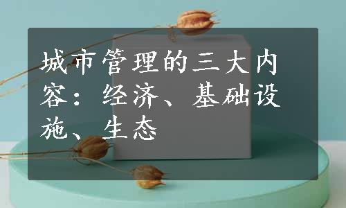 城市管理的三大内容：经济、基础设施、生态