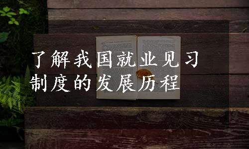 了解我国就业见习制度的发展历程