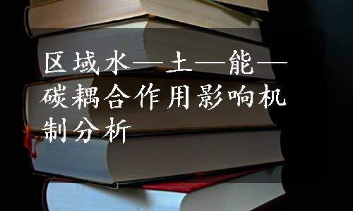 区域水—土—能—碳耦合作用影响机制分析