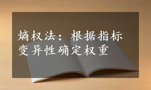 熵权法：根据指标变异性确定权重