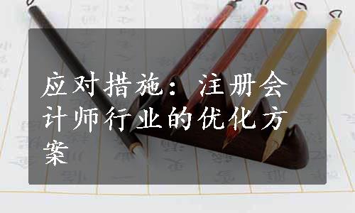 应对措施：注册会计师行业的优化方案