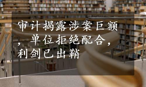 审计揭露涉案巨额，单位拒绝配合，利剑已出鞘