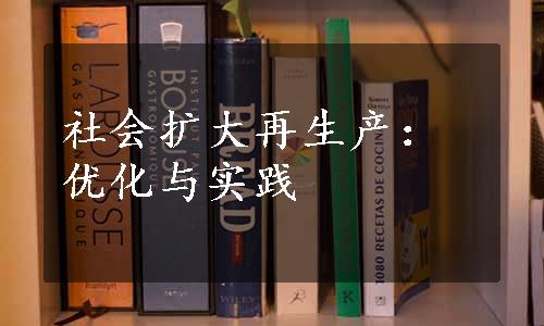 社会扩大再生产：优化与实践