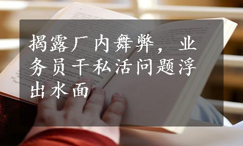 揭露厂内舞弊，业务员干私活问题浮出水面