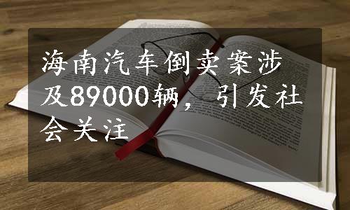 海南汽车倒卖案涉及89000辆，引发社会关注