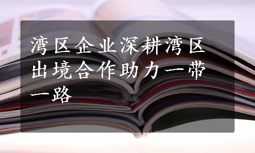 湾区企业深耕湾区 出境合作助力一带一路