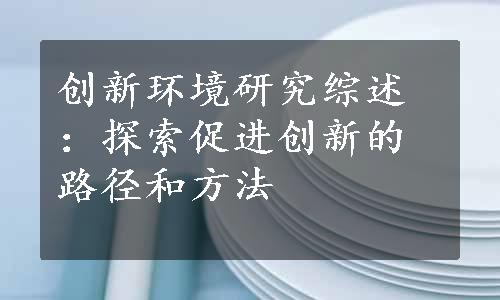 创新环境研究综述：探索促进创新的路径和方法