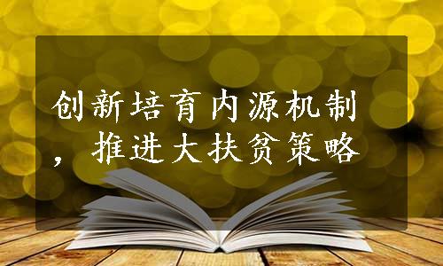 创新培育内源机制，推进大扶贫策略