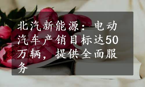 北汽新能源：电动汽车产销目标达50万辆，提供全面服务