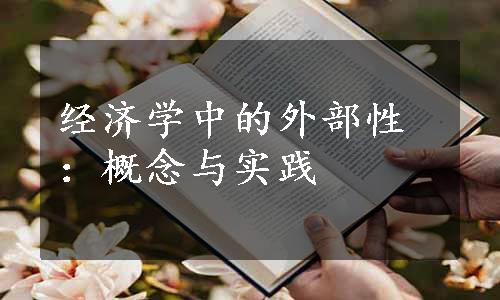 经济学中的外部性：概念与实践