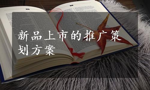 新品上市的推广策划方案