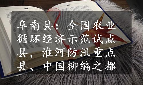 阜南县：全国农业循环经济示范试点县，淮河防汛重点县、中国柳编之都