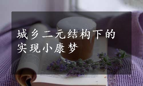 城乡二元结构下的实现小康梦