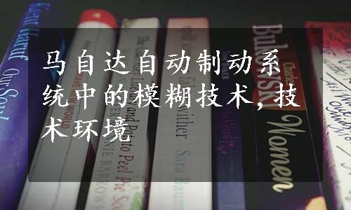 马自达自动制动系统中的模糊技术,技术环境