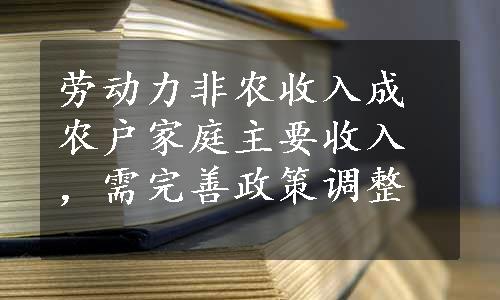 劳动力非农收入成农户家庭主要收入，需完善政策调整