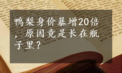 鸭梨身价暴增20倍，原因竟是长在瓶子里？