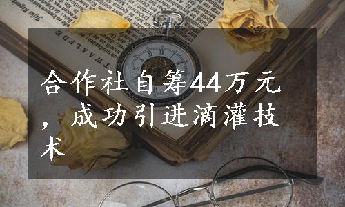 合作社自筹44万元，成功引进滴灌技术