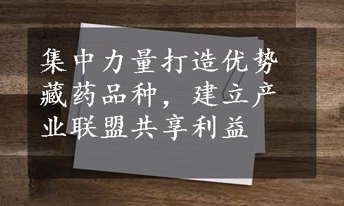 集中力量打造优势藏药品种，建立产业联盟共享利益