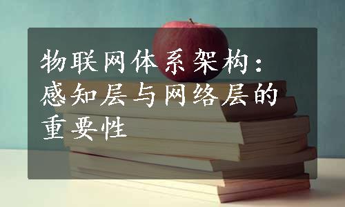 物联网体系架构：感知层与网络层的重要性