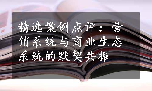 精选案例点评：营销系统与商业生态系统的默契共振