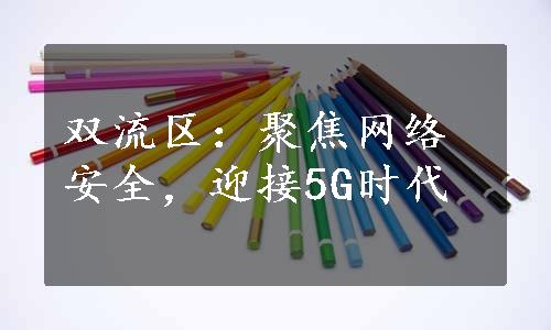 双流区：聚焦网络安全，迎接5G时代