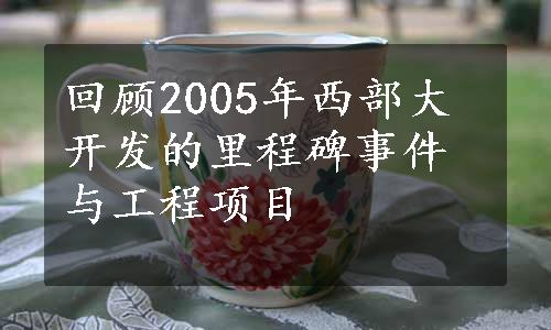 回顾2005年西部大开发的里程碑事件与工程项目