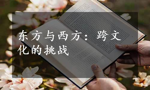 东方与西方：跨文化的挑战