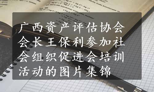 广西资产评估协会会长王保利参加社会组织促进会培训活动的图片集锦