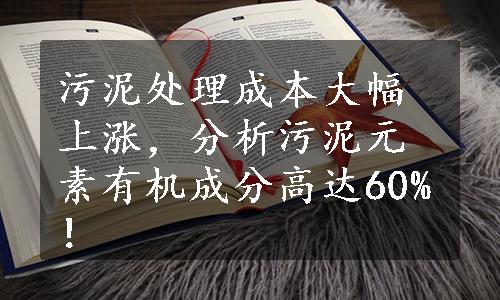 污泥处理成本大幅上涨，分析污泥元素有机成分高达60%！