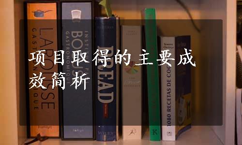 项目取得的主要成效简析