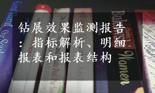 钻展效果监测报告：指标解析、明细报表和报表结构