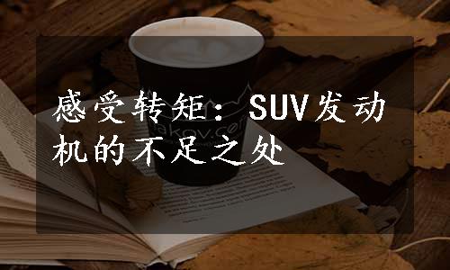 感受转矩：SUV发动机的不足之处