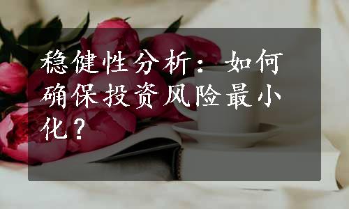 稳健性分析：如何确保投资风险最小化？