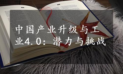 中国产业升级与工业4.0：潜力与挑战